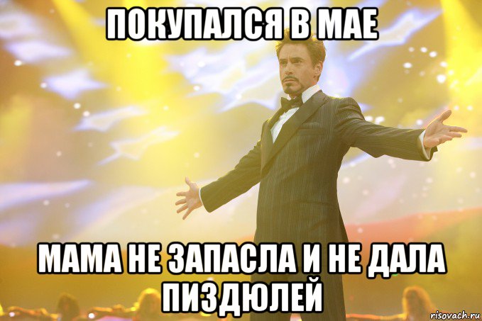 покупался в мае мама не запасла и не дала пиздюлей, Мем Тони Старк (Роберт Дауни младший)