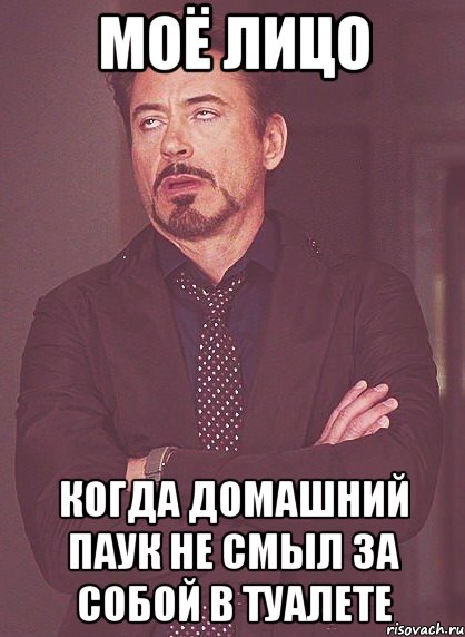 моё лицо когда домашний паук не смыл за собой в туалете, Мем твое выражение лица