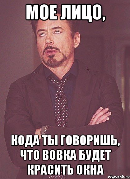 мое лицо, кода ты говоришь, что вовка будет красить окна, Мем твое выражение лица