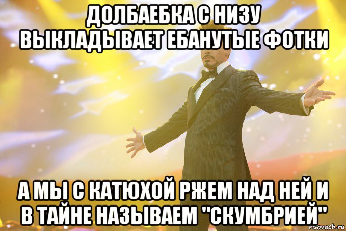 долбаебка с низу выкладывает ебанутые фотки а мы с катюхой ржем над ней и в тайне называем "скумбрией", Мем Тони Старк (Роберт Дауни младший)