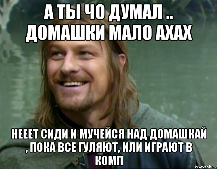 а ты чо думал .. домашки мало ахах нееет сиди и мучейся над домашкай , пока все гуляют, или играют в комп, Мем Тролль Боромир