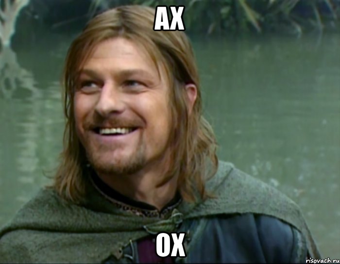 ax ox, Мем Тролль Боромир