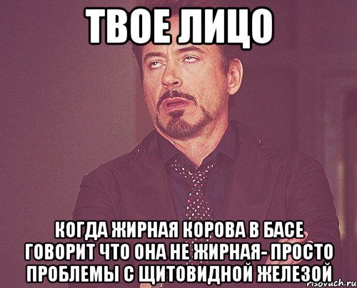 твое лицо когда жирная корова в басе говорит что она не жирная- просто проблемы с щитовидной железой, Мем твое выражение лица