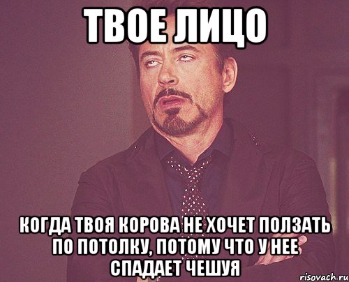 твое лицо когда твоя корова не хочет ползать по потолку, потому что у нее спадает чешуя, Мем твое выражение лица