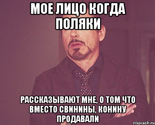 мое лицо когда поляки рассказывают мне, о том что вместо свинины, конину продавали, Мем твое выражение лица