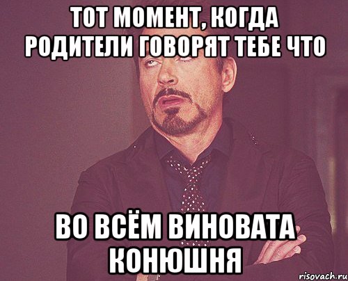 тот момент, когда родители говорят тебе что во всём виновата конюшня, Мем твое выражение лица