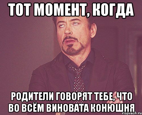 тот момент, когда родители говорят тебе, что во всём виновата конюшня, Мем твое выражение лица