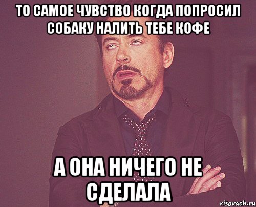 то самое чувство когда попросил собаку налить тебе кофе а она ничего не сделала, Мем твое выражение лица