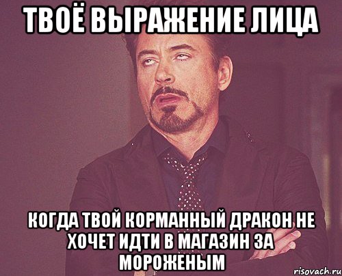 твоё выражение лица когда твой корманный дракон не хочет идти в магазин за мороженым