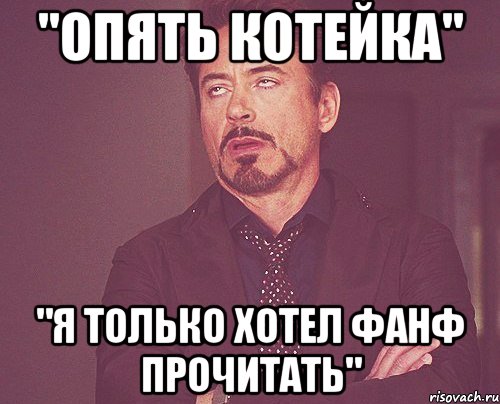 "опять котейка" "я только хотел фанф прочитать", Мем твое выражение лица