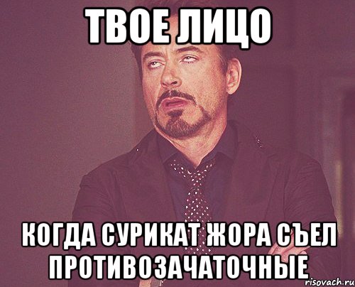 твое лицо когда сурикат жора съел противозачаточные, Мем твое выражение лица