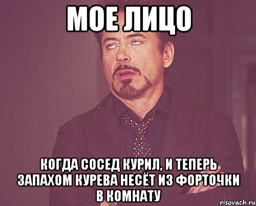 мое лицо когда сосед курил, и теперь запахом курева несёт из форточки в комнату, Мем твое выражение лица
