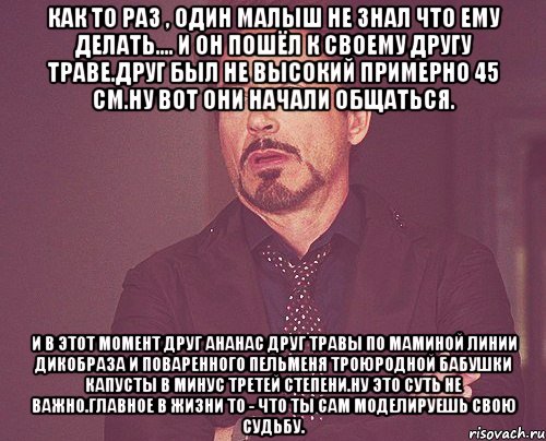 как то раз , один малыш не знал что ему делать.... и он пошёл к своему другу траве.друг был не высокий примерно 45 см.ну вот они начали общаться. и в этот момент друг ананас друг травы по маминой линии дикобраза и поваренного пельменя троюродной бабушки капусты в минус третей степени.ну это суть не важно.главное в жизни то - что ты сам моделируешь свою судьбу., Мем твое выражение лица