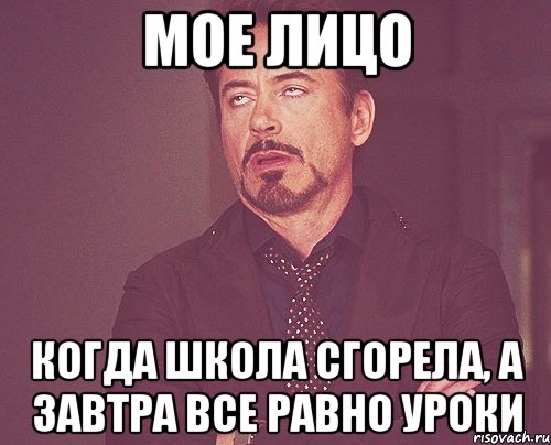 мое лицо когда школа сгорела, а завтра все равно уроки, Мем твое выражение лица