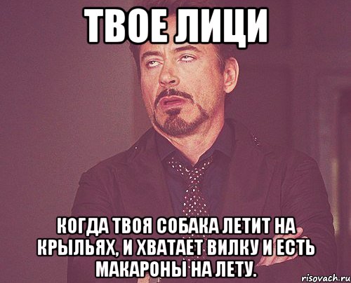 твое лици когда твоя собака летит на крыльях, и хватает вилку и есть макароны на лету., Мем твое выражение лица