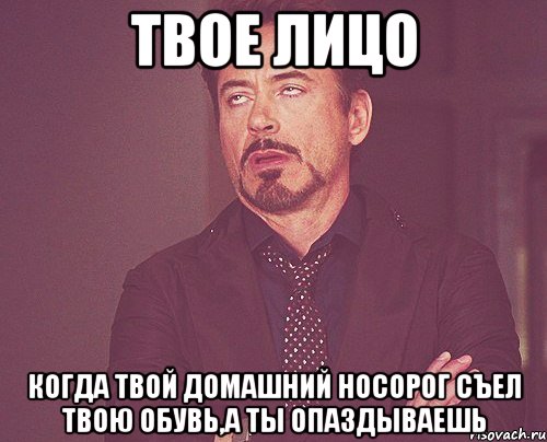 твое лицо когда твой домашний носорог съел твою обувь,а ты опаздываешь, Мем твое выражение лица