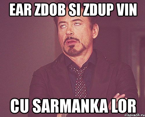 ear zdob si zdup vin cu sarmanka lor, Мем твое выражение лица