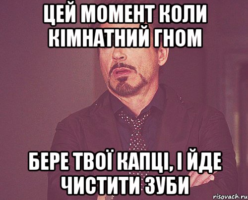 цей момент коли кімнатний гном бере твої капці, і йде чистити зуби, Мем твое выражение лица