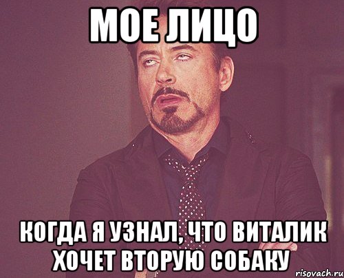 мое лицо когда я узнал, что виталик хочет вторую собаку, Мем твое выражение лица