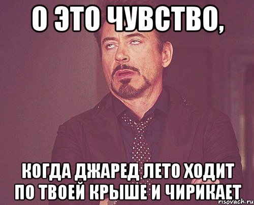 о это чувство, когда джаред лето ходит по твоей крыше и чирикает, Мем твое выражение лица