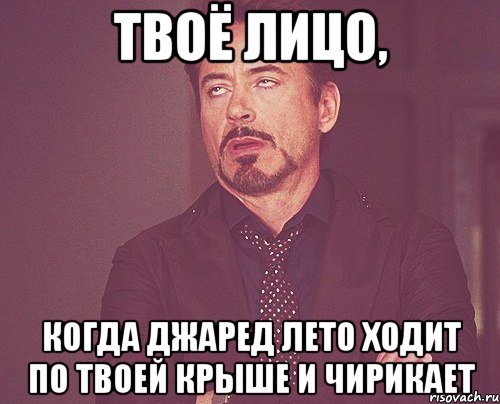 твоё лицо, когда джаред лето ходит по твоей крыше и чирикает, Мем твое выражение лица