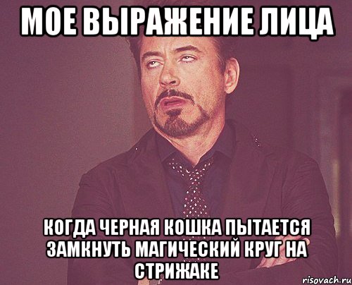 мое выражение лица когда черная кошка пытается замкнуть магический круг на стрижаке, Мем твое выражение лица