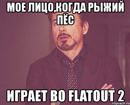 мое лицо,когда рыжий пёс играет во flatout 2, Мем твое выражение лица