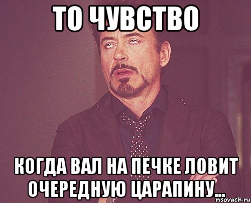 то чувство когда вал на печке ловит очередную царапину..., Мем твое выражение лица