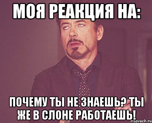 моя реакция на: почему ты не знаешь? ты же в слоне работаешь!, Мем твое выражение лица