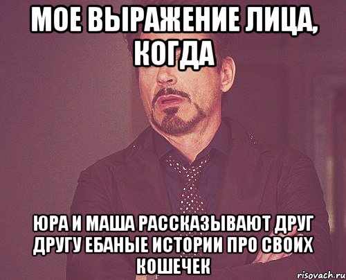 мое выражение лица, когда юра и маша рассказывают друг другу ебаные истории про своих кошечек, Мем твое выражение лица
