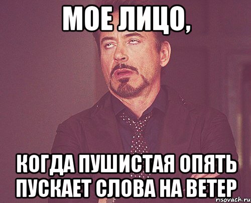 мое лицо, когда пушистая опять пускает слова на ветер, Мем твое выражение лица