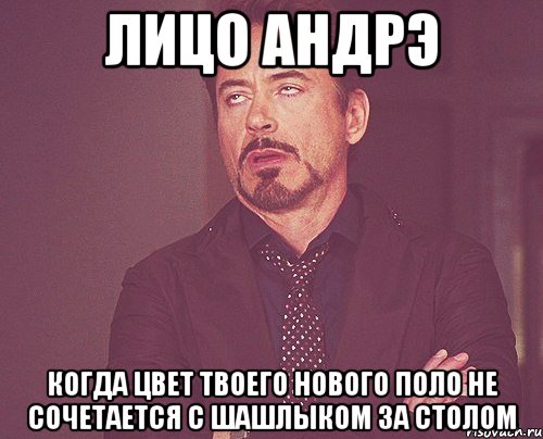 лицо андрэ когда цвет твоего нового поло не сочетается с шашлыком за столом, Мем твое выражение лица