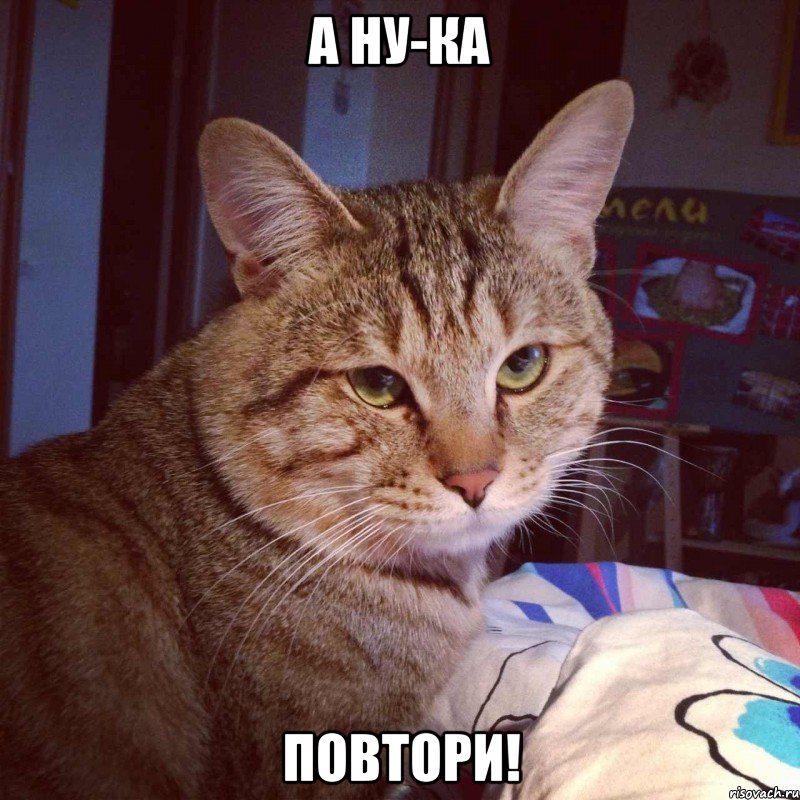 а ну-ка повтори!, Мем ты сдашь экзамены