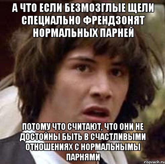 а что если безмозглые щели специально френдзонят нормальных парней потому что считают, что они не достойны быть в счастливыми отношениях с нормальнымы парнями