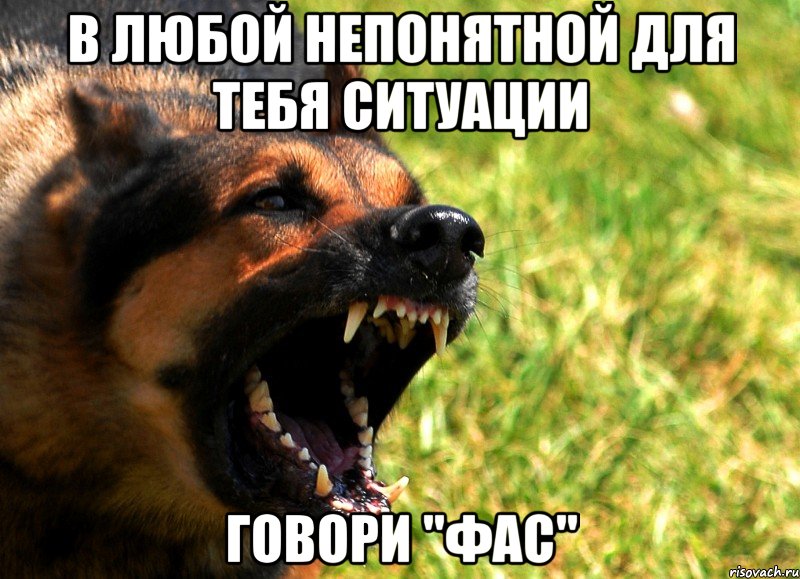 в любой непонятной для тебя ситуации говори "фас", Мем укпуцпк