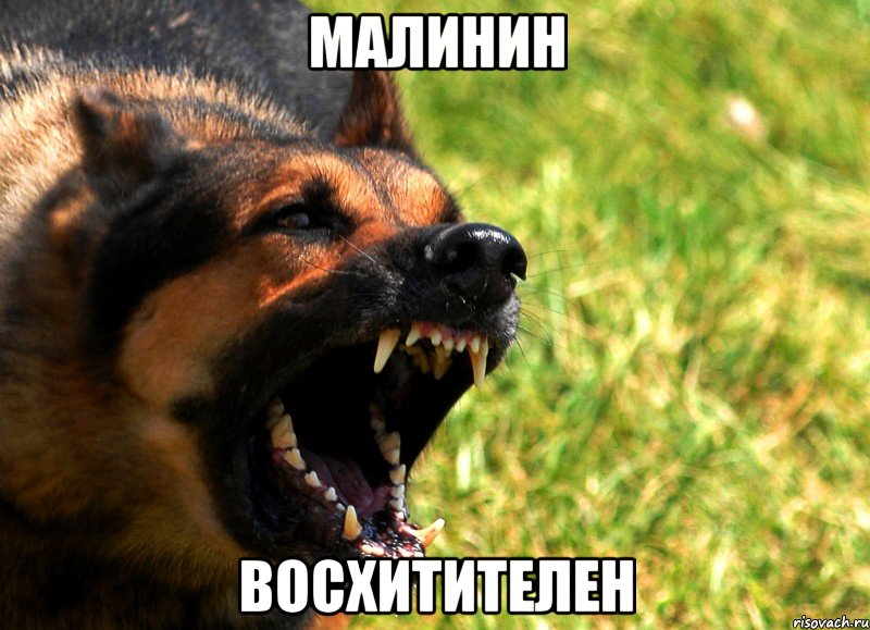 малинин восхитителен, Мем укпуцпк