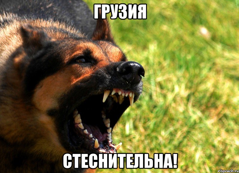 грузия стеснительна!, Мем укпуцпк