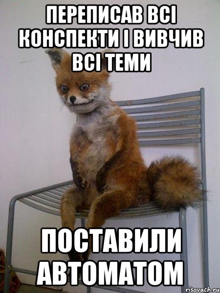 переписав всі конспекти і вивчив всі теми поставили автоматом, Мем Упоротая лиса