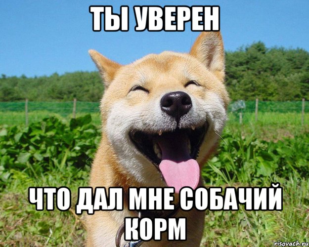 ты уверен что дал мне собачий корм, Мем уууу