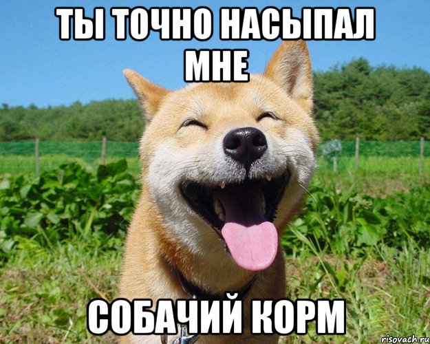 ты точно насыпал мне собачий корм, Мем уууу