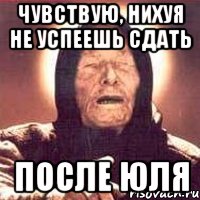 чувствую, нихуя не успеешь сдать после юля, Мем Ванга (цвет)