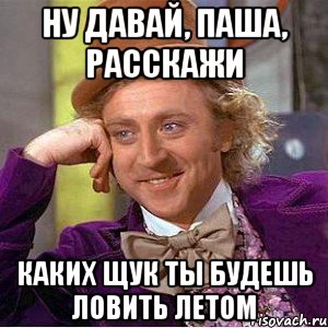 ну давай, паша, расскажи каких щук ты будешь ловить летом, Мем Ну давай расскажи (Вилли Вонка)