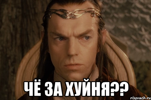  чё за хуйня??, Мем владыка