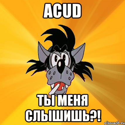 acud ты меня слышишь?!, Мем Волк