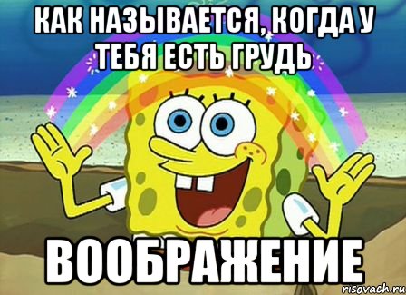 как называется, когда у тебя есть грудь воображение, Мем Воображение (Спанч Боб)