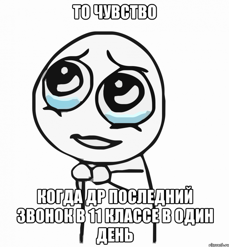 то чувство когда др последний звонок в 11 классе в один день, Мем  ну пожалуйста (please)