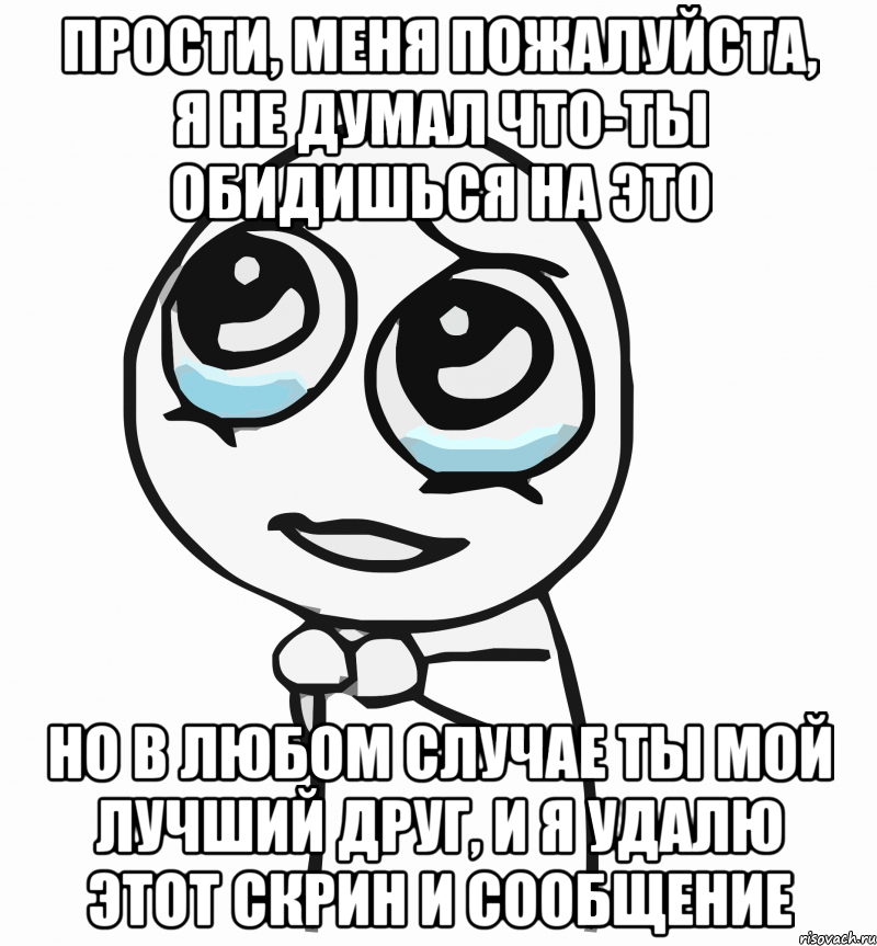 прости, меня пожалуйста, я не думал что-ты обидишься на это но в любом случае ты мой лучший друг, и я удалю этот скрин и сообщение, Мем  ну пожалуйста (please)