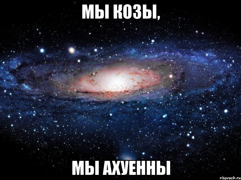 мы козы, мы ахуенны, Мем Вселенная