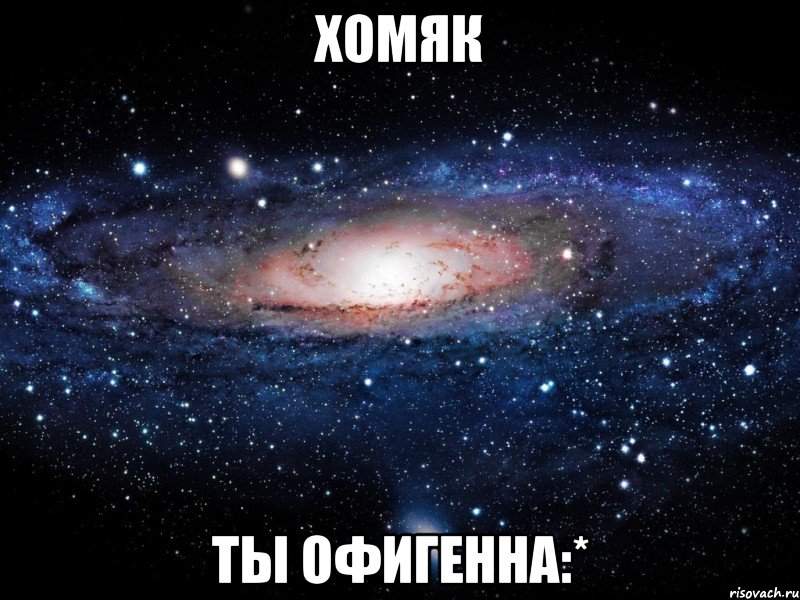 хомяк ты офигенна:*, Мем Вселенная