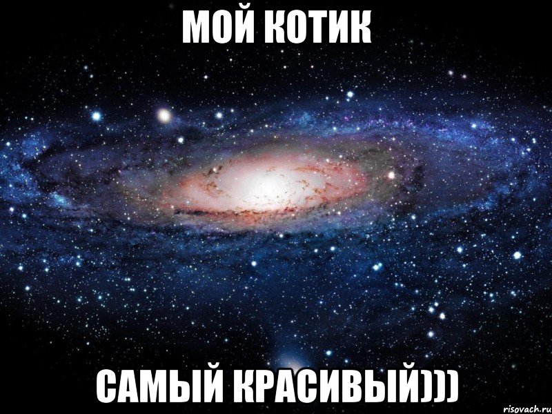 мой котик самый красивый))), Мем Вселенная